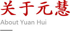 关于元慧