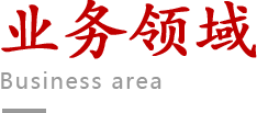 业务领域