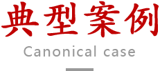 典型案例