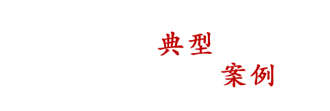 典型案例
